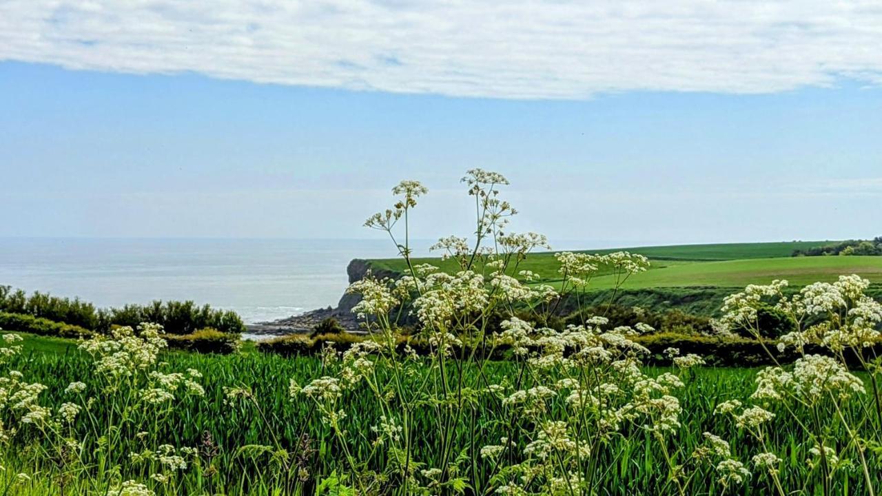 Cober Hill 호텔 스카버러 외부 사진